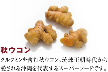 秋ウコン：クルクミンを含む秋ウコン。琉球王朝時代から愛される沖縄を代表するスーパーフードです。
